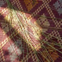 weaving-materials-at-Injalak-Hill-200x200 Mikinj Valley (Red Lily) Arnhem Land Sightseeing Tour – departs Darwin